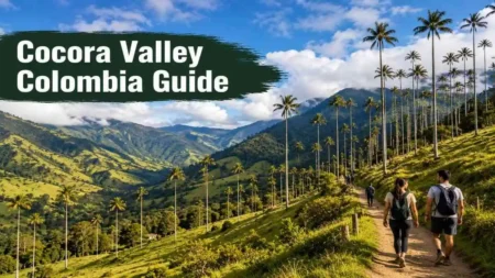 Quindío wax palm trees in Cocora Valley Colombia with green hills and mountain scenery